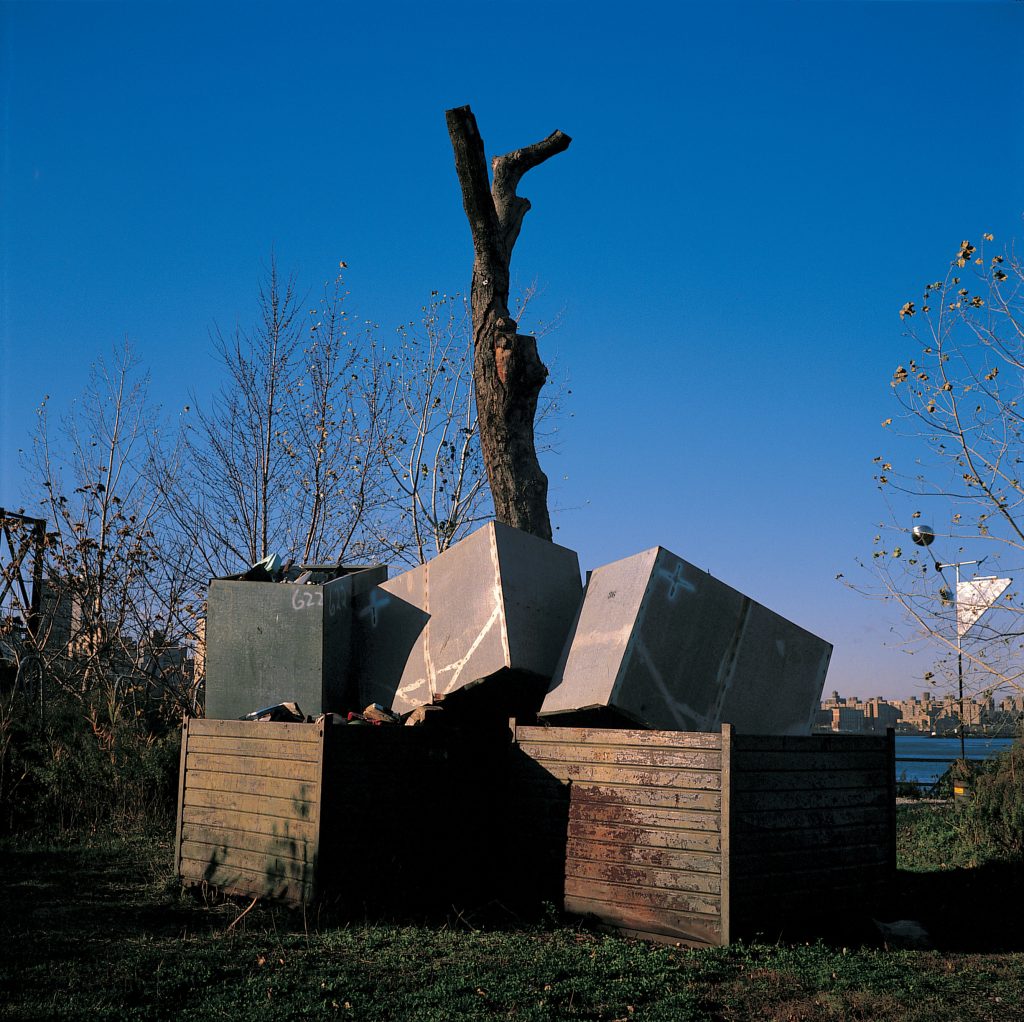 Nancy Rubins